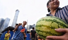 北京朝阳吃瓜,瓜界风云录，美食地图大揭秘